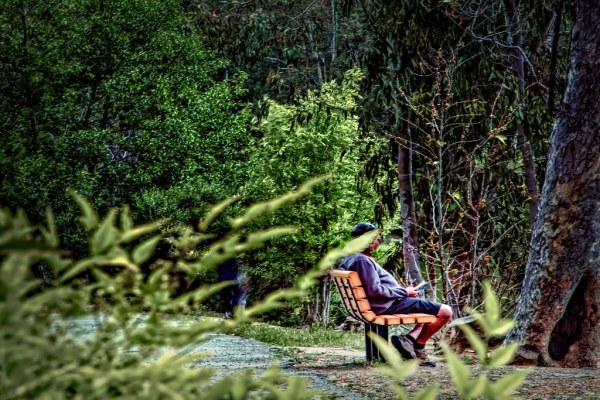 Man reading and looking to understand objective reality